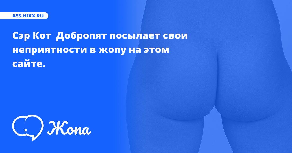 Что посылает в жопу Сэр Кот  Добропят? • ass.hixx.ru