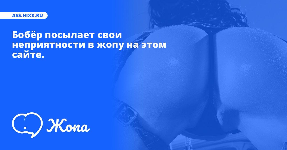 Что посылает в жопу Бобёр? • ass.hixx.ru