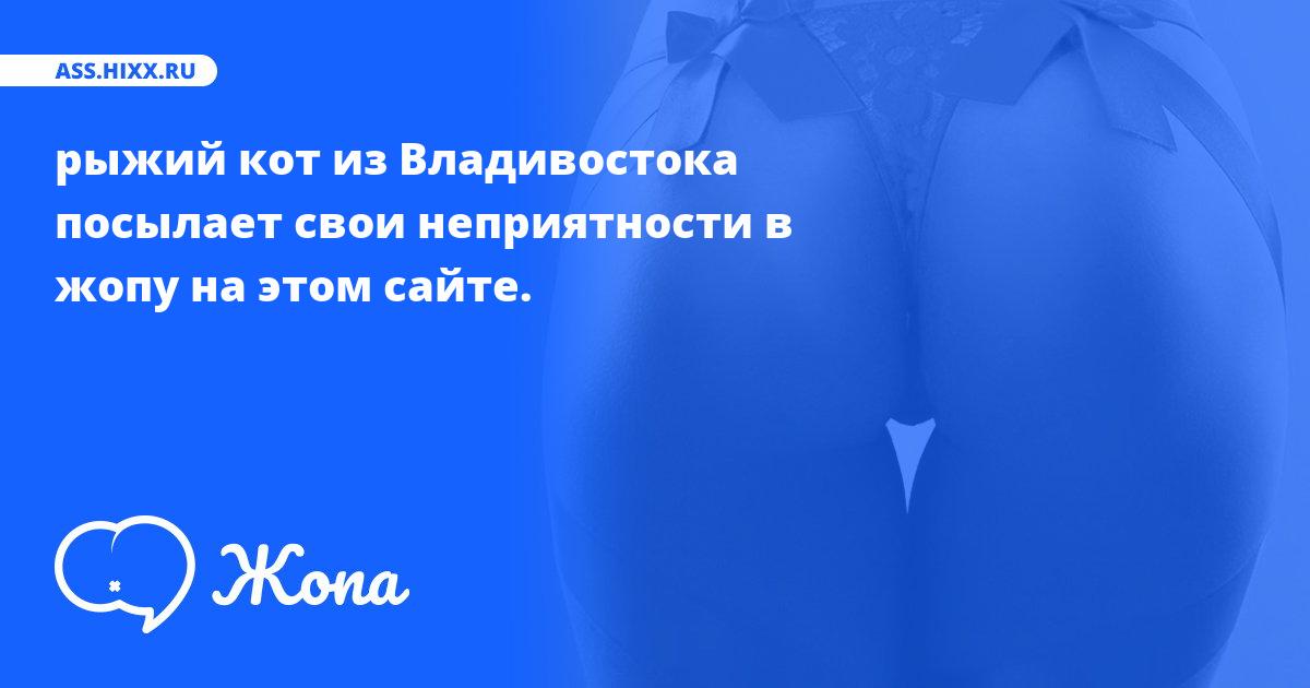 Что посылает в жопу рыжий кот из Владивостока? • ass.hixx.ru