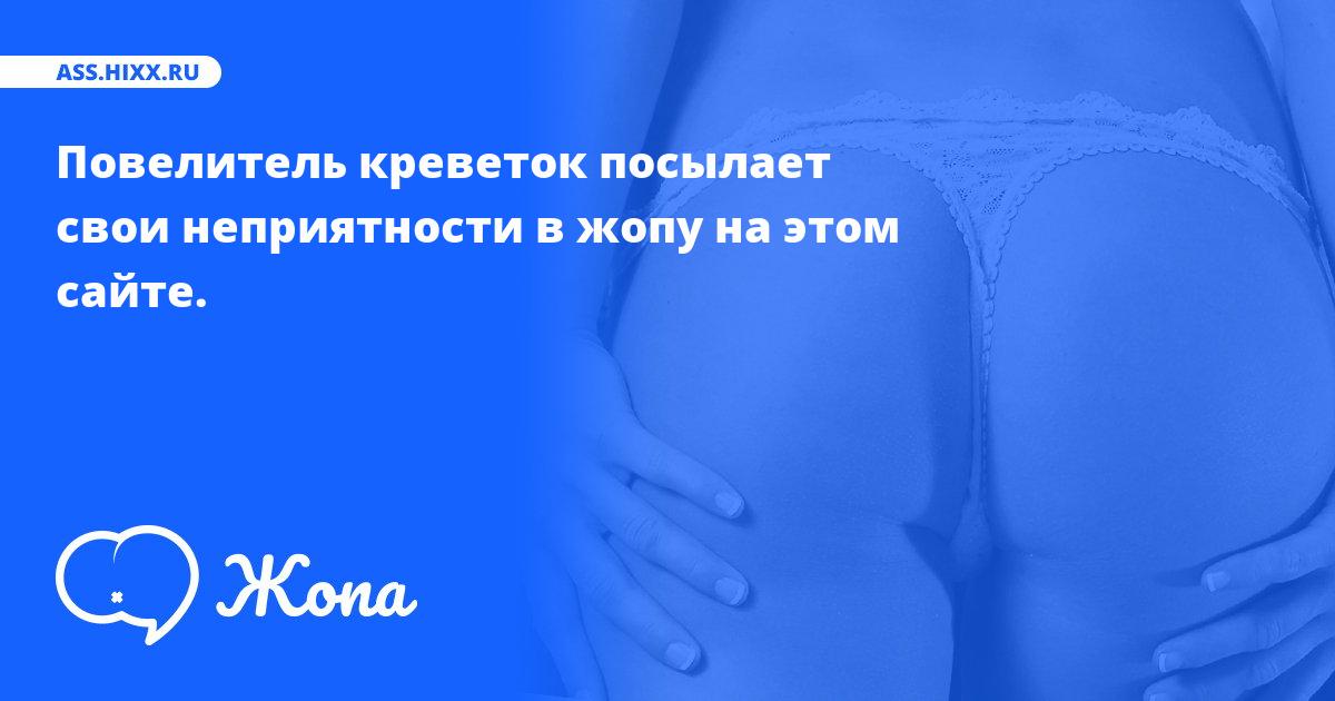 Что посылает в жопу Повелитель креветок? • ass.hixx.ru
